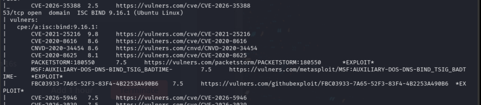 Nmap vuln script output part 2